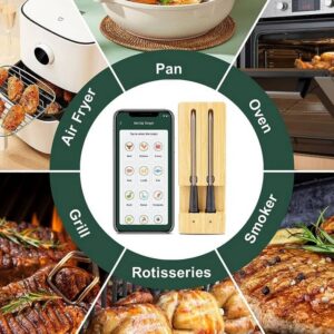 FM205 Dual termometar